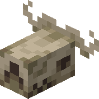 The Animal Skull block