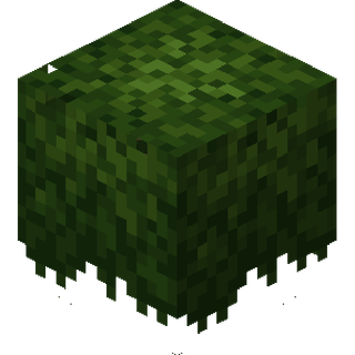 The Dark Oak Bush block