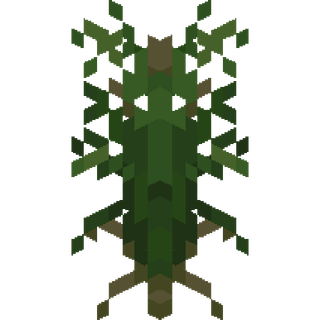 The Acorus plant block