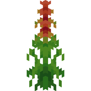The Bromeliad plant block