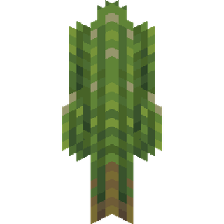 The Large Saguaro Cactus plant block