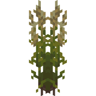 The Reed plant block