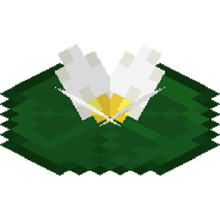 The Large Flowering Lily Pad plant block