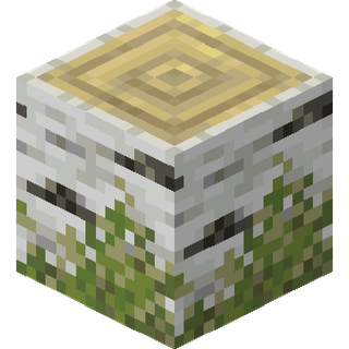 The birch Mossy Log block