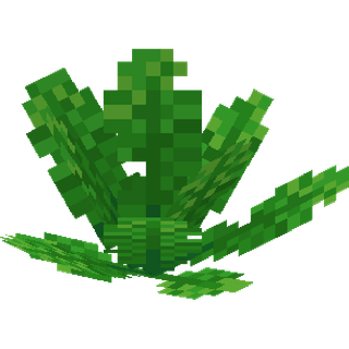 The Long Leaf Plant block