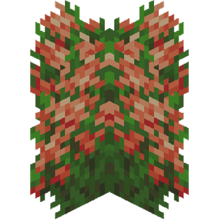 The Ixora plant block