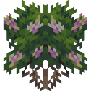 The Plumeria plant block