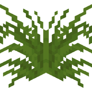 The Spider Plant block