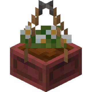 A hanging mangrove Planter block
