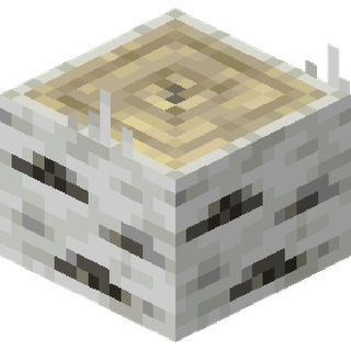 The birch Stump block