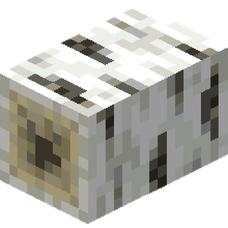 The birch Fallen Trunk block