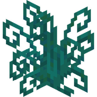 The Twisting Bush block