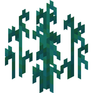 The Warped Grass plant block
