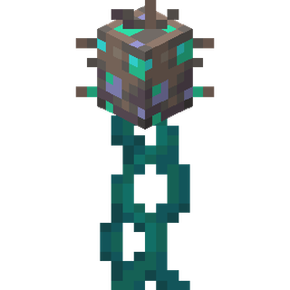 The Warped Spore Plant plant block